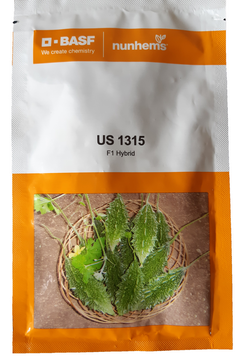 Bittergourd / Karela US 1315