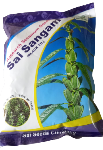 Black Seasamum / Til Sai Sangam