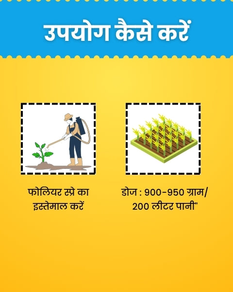 Katyayani K-Bordeaux Mixture | Chemical Fungicide | Control Fungal and Bacterial Disease