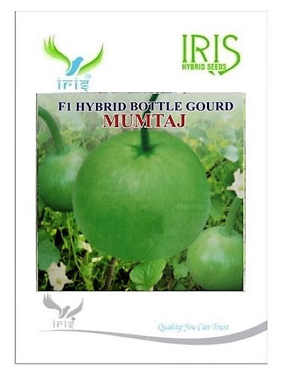 BottleGourd / Lauki F1 Iris Round Mumtaj