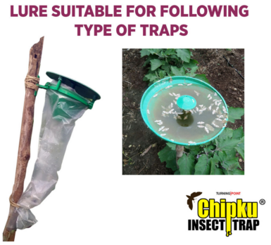 Chipku Brinjal Fruit & Shoot Borer Lure