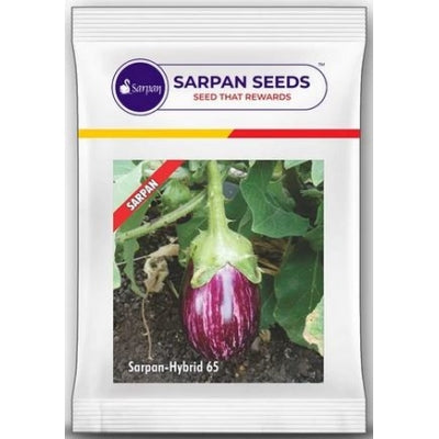 Brinjal Sarpan 65