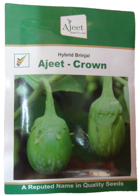 Brinjal Ajeet Crown