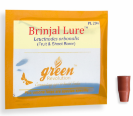 Combo Pack of Funnel Pheromone Trap + Brinjal Pheromone Lure (for Brinjal Fruit & Shoot Borer)