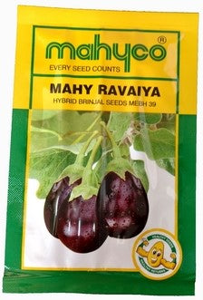 Brinjal Ravaiya MEBH 39