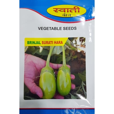Brinjal Surati Hara