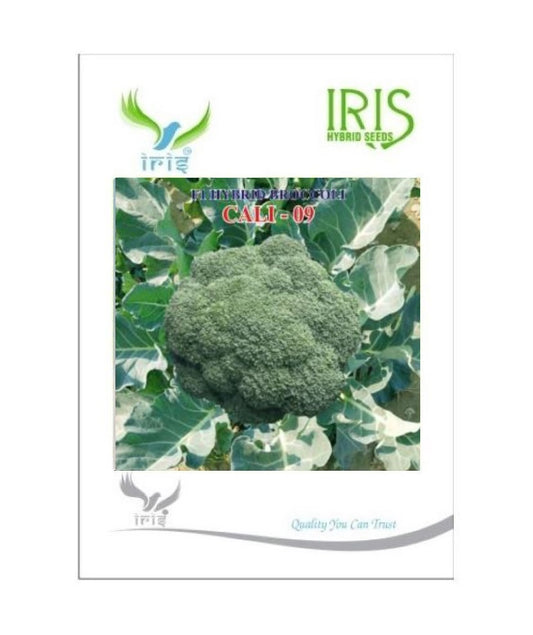 Iris Broccoli F-1 Hybrid Cali-09 10 grams