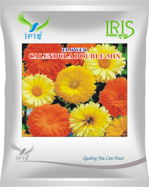 Iris Imported OP Calendula Mix 300+ Seeds