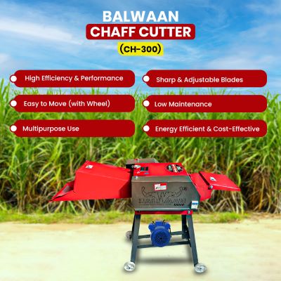 Balwaan Chaff Cutter with 3 HP Motor & Gear CH-300
