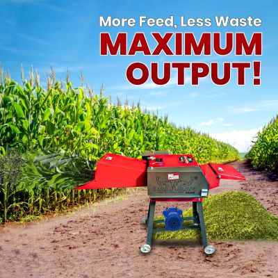 Balwaan Chaff Cutter with 3 HP Motor & Gear CH-300