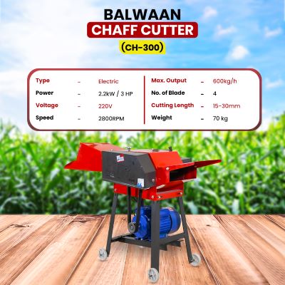 Balwaan Chaff Cutter with 3 HP Motor & Gear CH-300