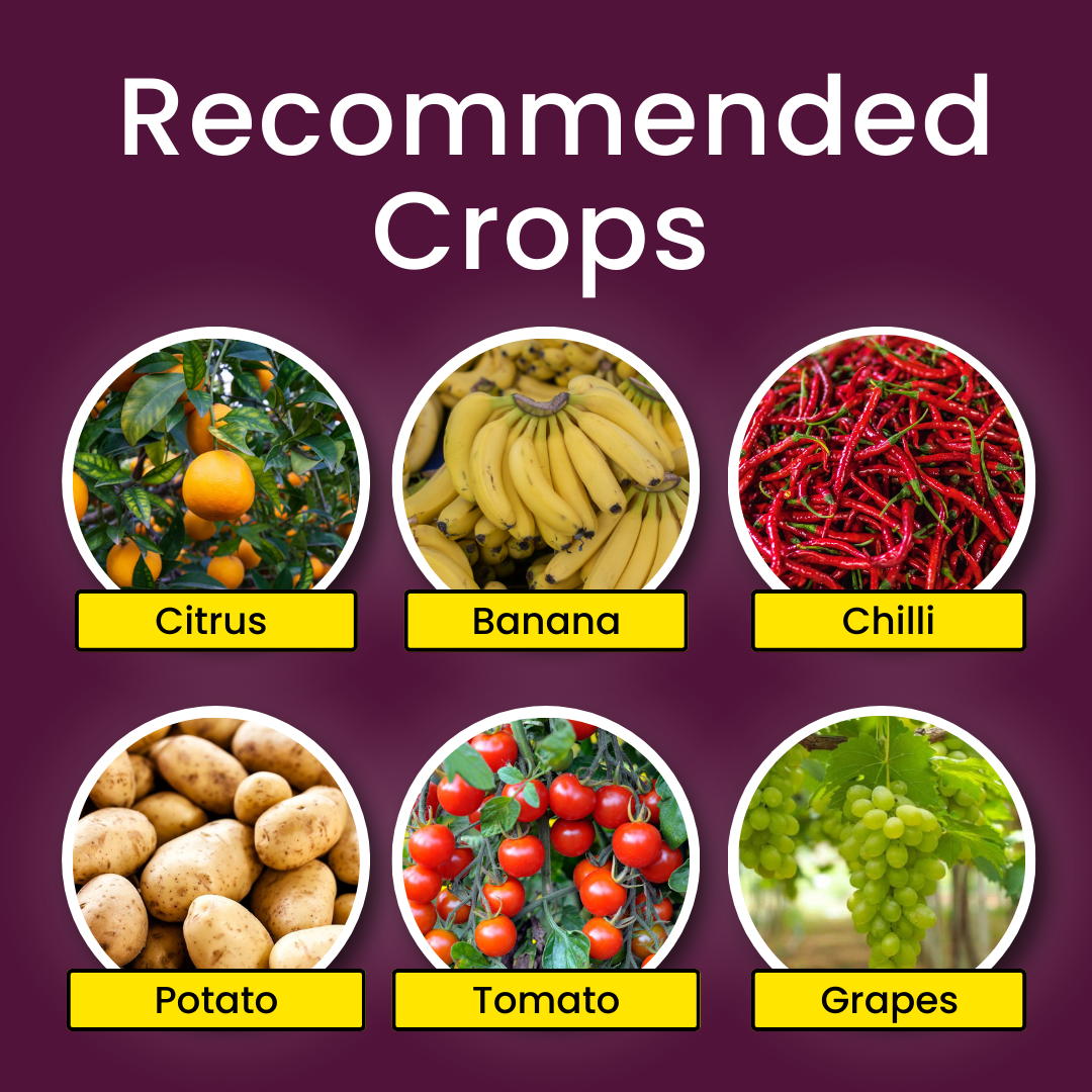 Katyayani COC 50 | Copper Oxychloride 50% WP | Fungicide for Rust Disease