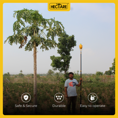 Hectare Papaya Picker (without pole)