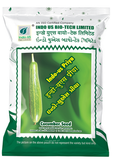 Cucumber Indo US Priya (OP)