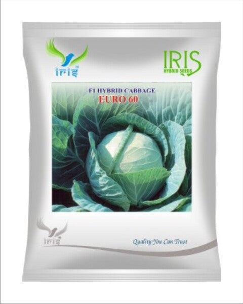 Iris F1 Cabbage / Patta Gobi Euro 60