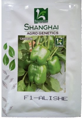 Capsicum Alishe