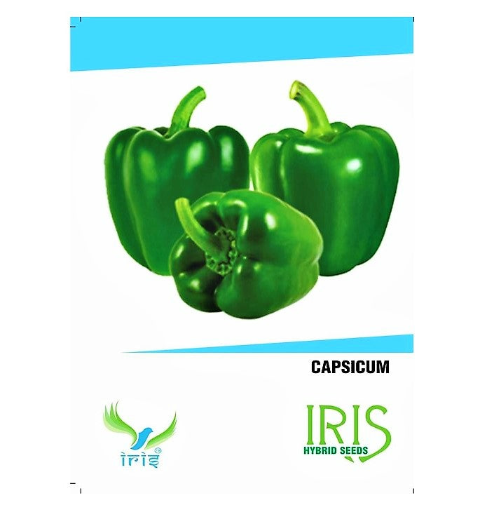Iris F1 Green Capsicum 15 Seeds