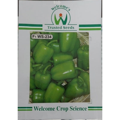 Capsicum WS-234