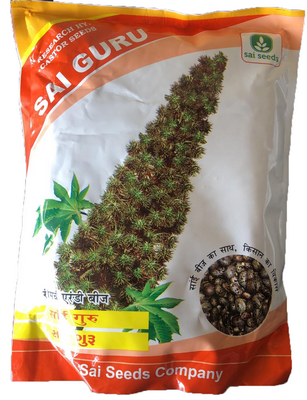 Castor / Aerandi Sai Guru