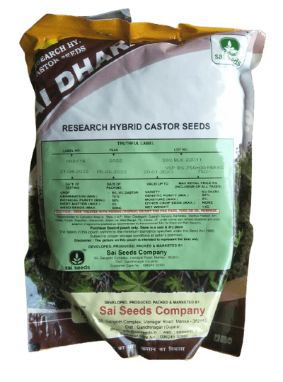 Castor / Aerandi Sai Dhara