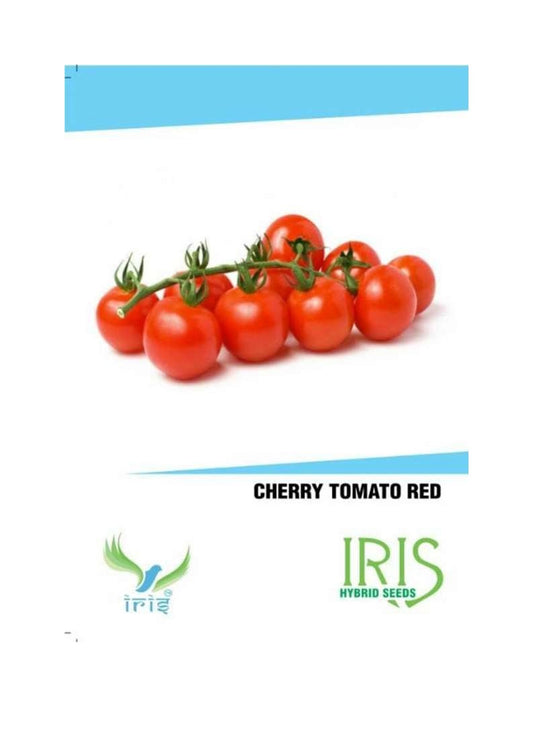 Iris Imported Cherry Tomato Red
