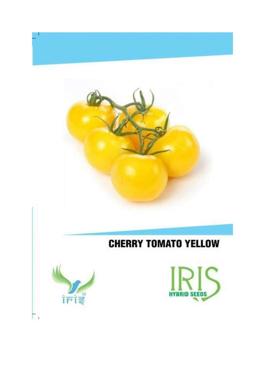 Iris Imported Cherry Tomato Yellow