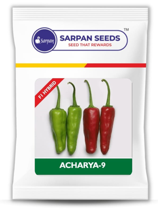 Chilli / Hot Pepper F1 Sarpan Acharya-9