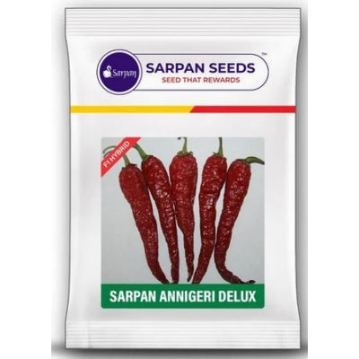 Chilli / Hot Pepper Sarpan Annigeri Delux