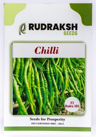 Chilli / Hot Pepper Rudra 101