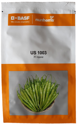 Chilli / Hot Pepper US 1003