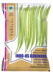 Clusterbean / Guar Indo US Kohinoor