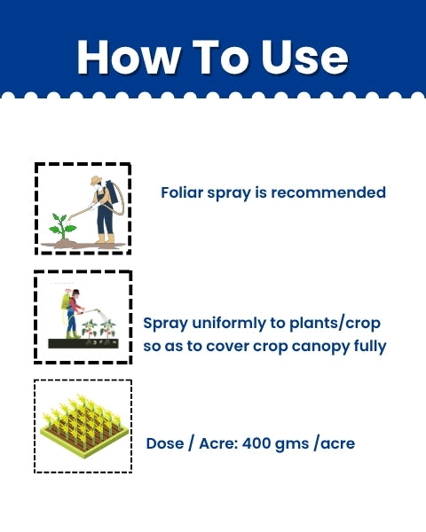 Katyayani Copper More - Copper Sulphate | Fungicide