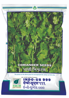 Coriander / Dhaniya Indo US 999