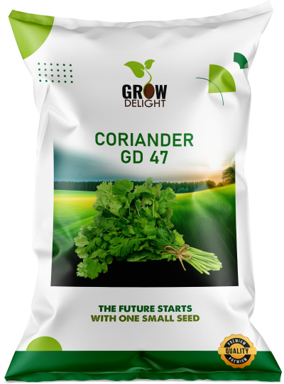 Coriander / Dhaniya GD 47