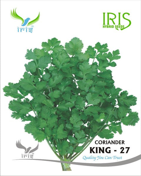 Coriander / Dhaniya Imported OP King-27 (Split)