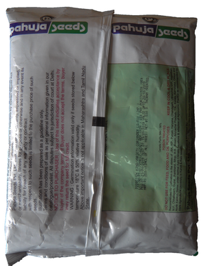 Coriander / Dhaniya LS-800