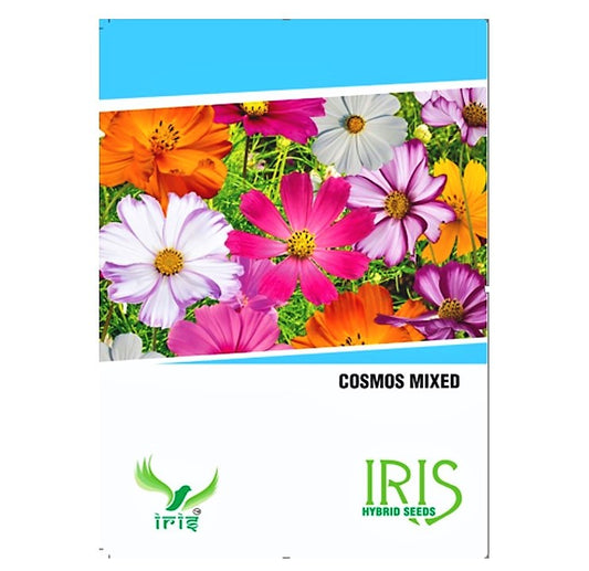 Iris Imported OP Cosmos Mix 300+ Seeds