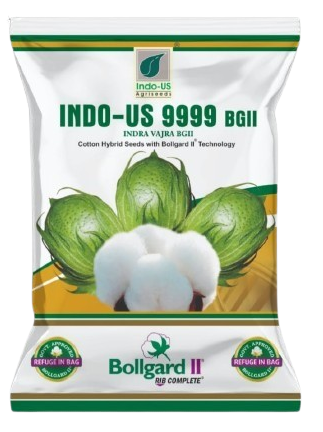 Cotton Indo US 9999 BG II (Pack of 3)