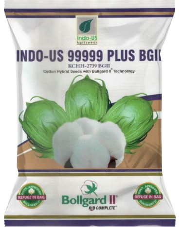 Cotton Indo US 99999 Plus BG II (Pack of 3)