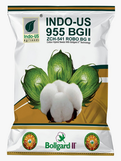 Cotton Indo US 955 Plus BG II (Pack of 3)