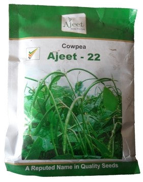 Cowpea / Choli Ajeet-22