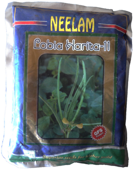 Cowpea / Choli Harita-11