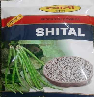 Cowpea / Choli Swati-Shital