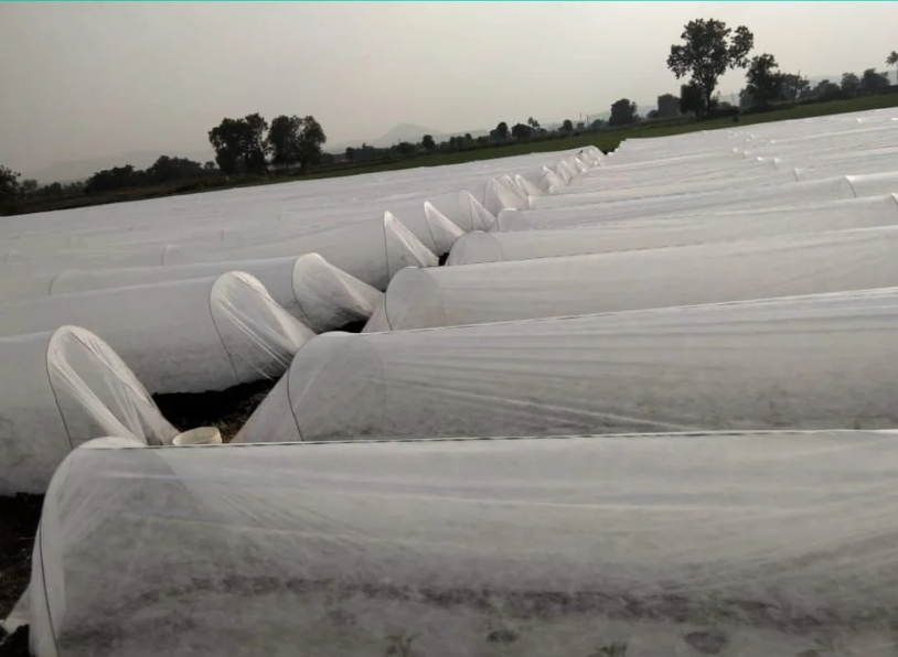 Crop Guard Crop Cover for Crop Protection