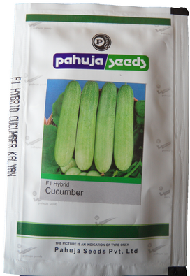 Cucumber Kalyan