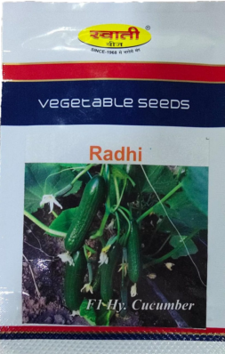 Cucumber Radhi