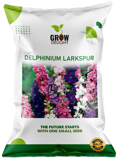 Grow Delight Imported Delphinium Larkspur - 300 seeds
