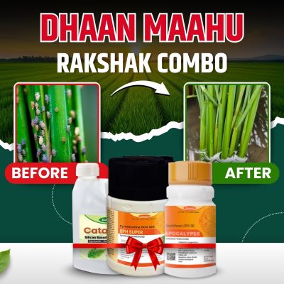 Katyayani Dhaan Mahu Rakshak Combo