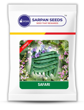 Dolichos Sarpan Safari (Pink Flower)