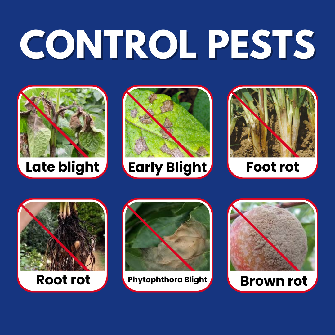 Katyayani Dr Blight - Metalaxyl-M 3.3% + Chlorothalonil 33.1% SC